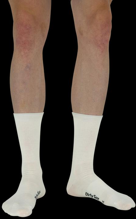 Immagine prodotto Dirtysox Merino Summer - Elite - Pure - Bianco (44 - 47)