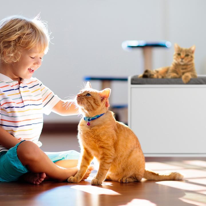 Actual product image Relaxdays Cat Cabinet with Bench (Cat litter box closed)