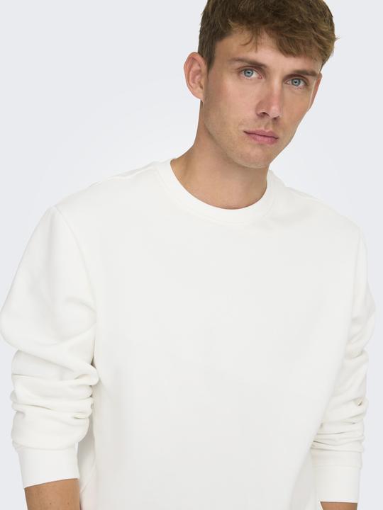 Image du produit Only & Sons Onsconnor Reg Crew Neck Sweat Noos (XS)