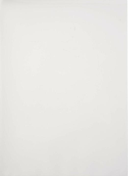 Actual product image Fellowes Imprint 100 (A4, 100 Piece, 100 µm)