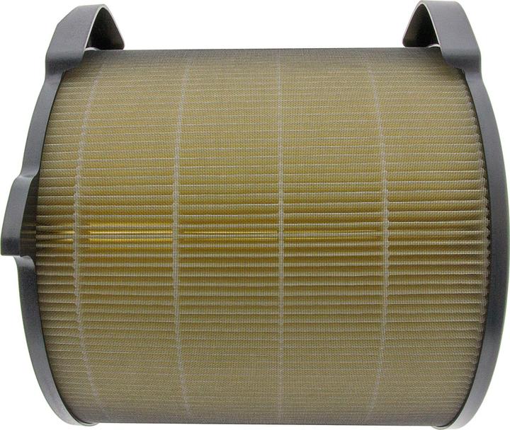Immagine prodotto Flickbee Filtro per Electrolux Pure A9- sostituisce EFDBTH4 (1 x)
