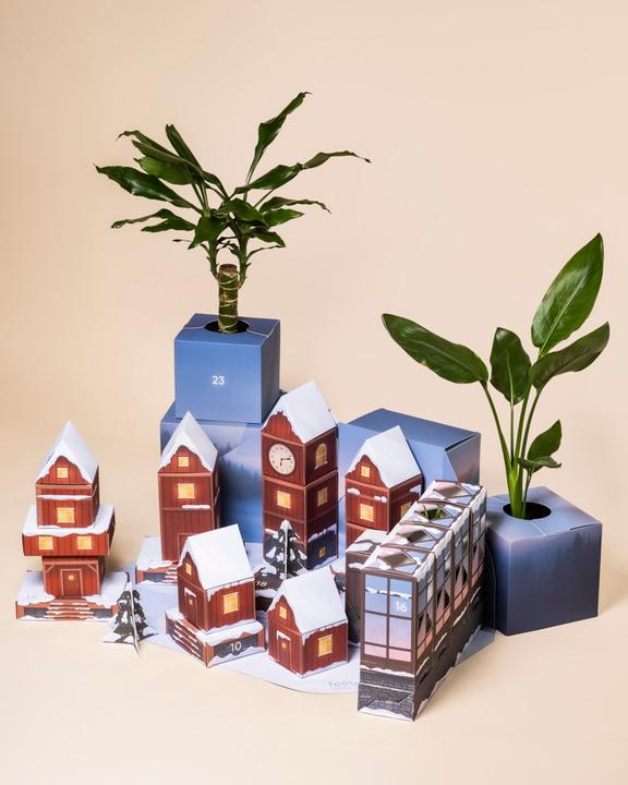 Image du produit feey Calendrier de l'Avent des plantes (60 cm)