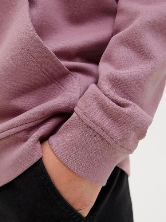 Produktbild Jack & Jones Jcotier Front Print Sweat Hood Sn Jnr (128)