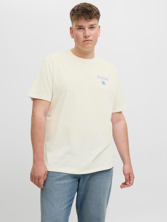 Actual product image Jack & Jones Locker geschnitten Rundhalsausschnitt Plus T-Shirt T-shirt (4XL)