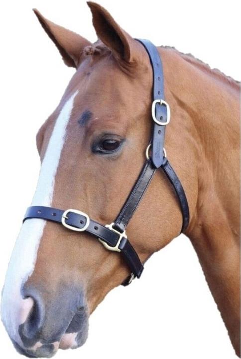 Universal Textiles Licol en cuir pour cheval Réglable