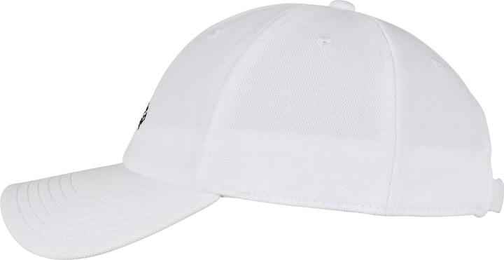 Actual product image Cayler & Sons C&S WL Forever Six Curved Cap (One size)