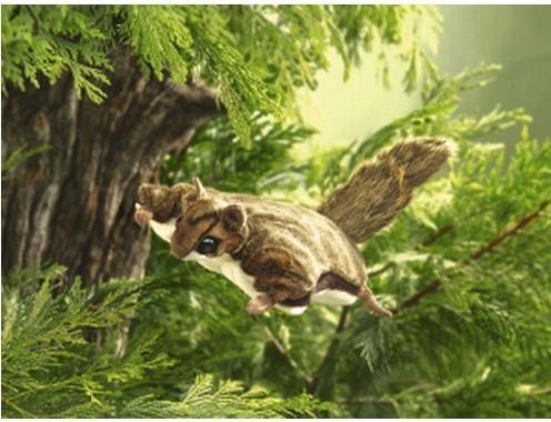 Produktbild Folkmanis Flughörnchen