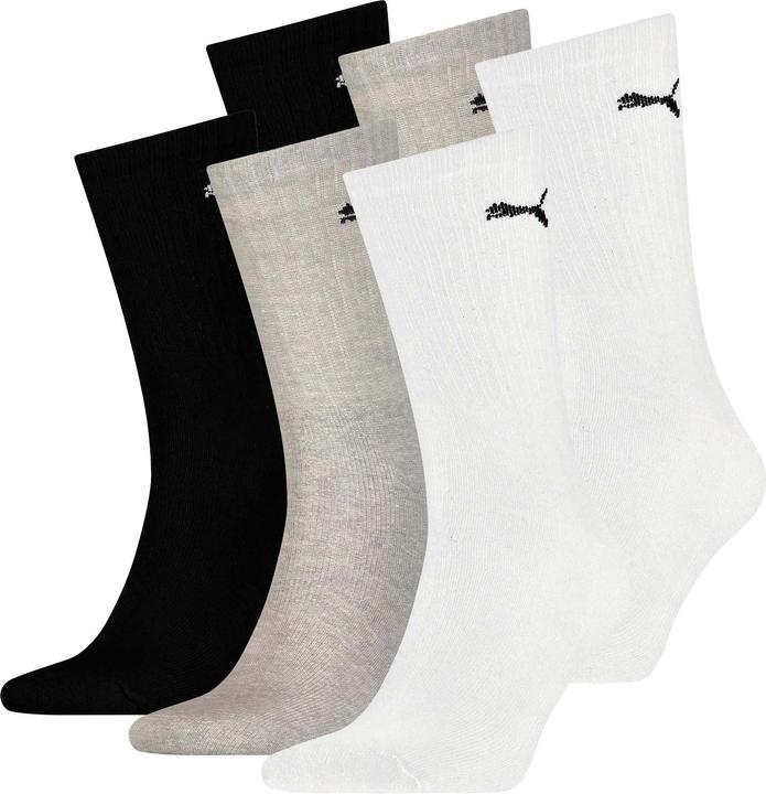 Puma Sport 6p