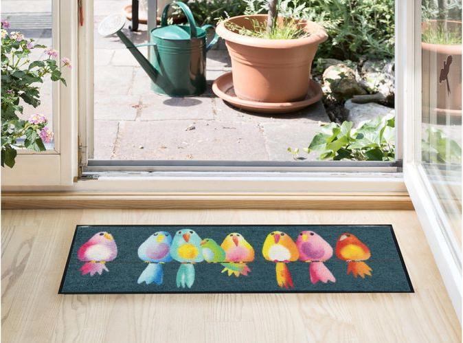 Image du produit Salonloewe Rainbow Birds (30 x 100 cm)