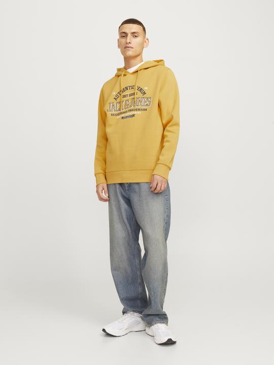 Produktbild Jack & Jones JJELOGO SWEAT HOOD 2 COL 24/25 NOOS (L)