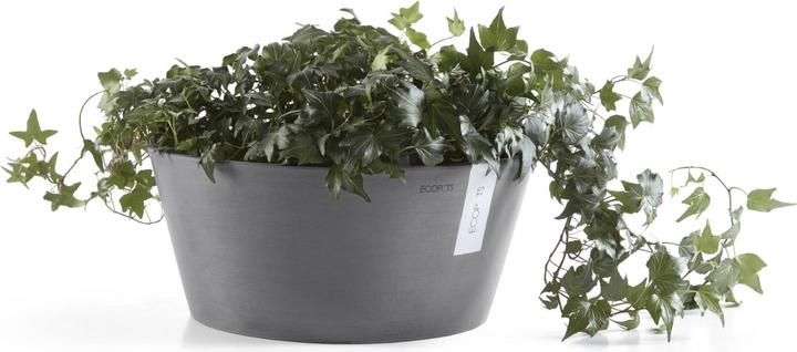 Actual product image Ecopots Frankfurt (30 cm)