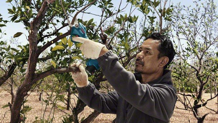 Produktbild Bosch Professional Pro Pruner