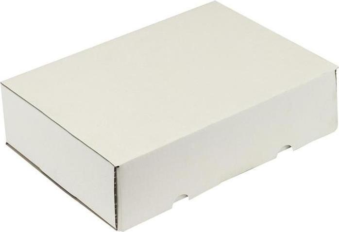 Actual product image Transpak Hinged box 1-wall dimensions 300x215x77mm A4 quality 1.20 B white white (50 x)
