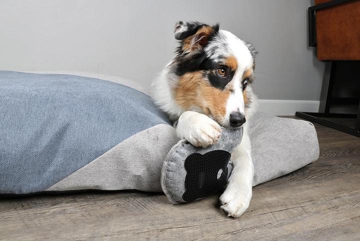 Actual product image EBI D&D Home Dog Toy Bobo Oxford