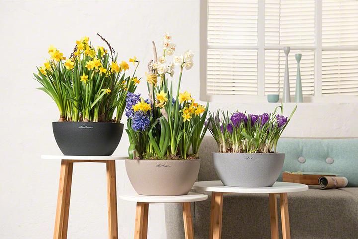 Produktbild Lechuza Cubeto 40 (40 cm)