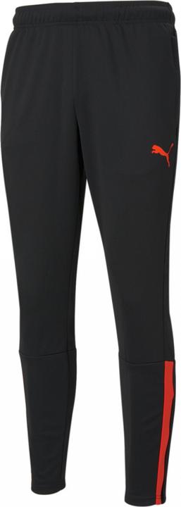 Puma TeamLIGA track pants men (L)