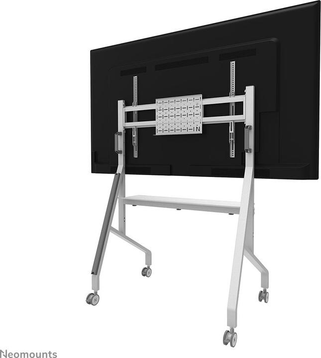 Actual product image Neomounts FL50-525WH1 (Universal, 82.55", 76 kg)