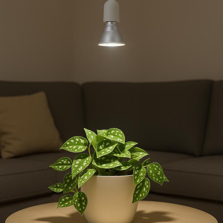 Produktbild Venso E27 Pflanzenlampe "Indoor plants" 7W 60° (LED, 240 V)