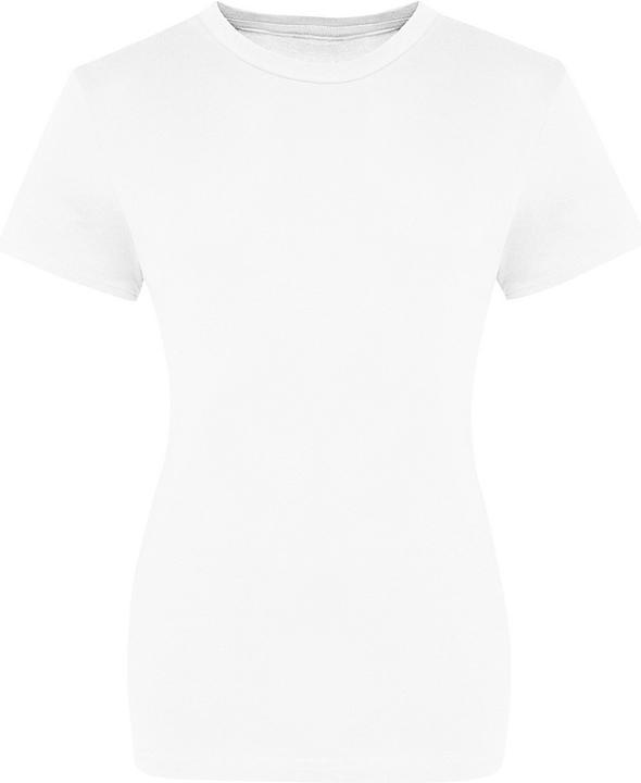 Awdis Just Ts The 100 TShirt