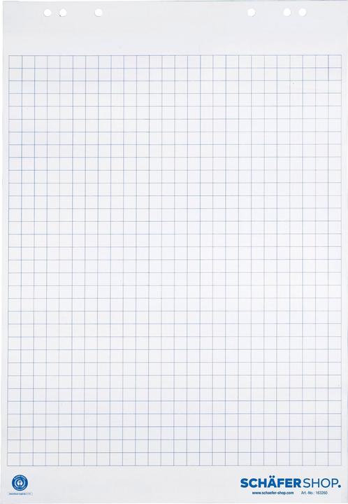 Image du produit Schäfer Shop Bloc flipchart avec papier recyclé, quadrillé ou blanc, L 650 x H 980 mm, 5 pièces à 20 feuilles