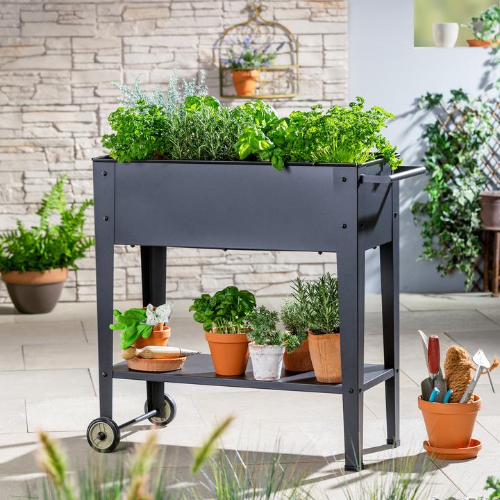 Produktbild Giardimo Mobiles Hochbeet