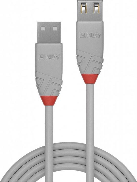 Produktbild Lindy USB A –  USB A (1 m, USB 2.0)