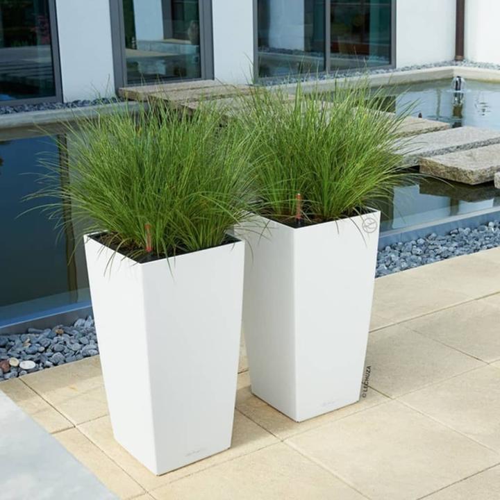 Actual product image Lechuza Cubico Color (22 cm)