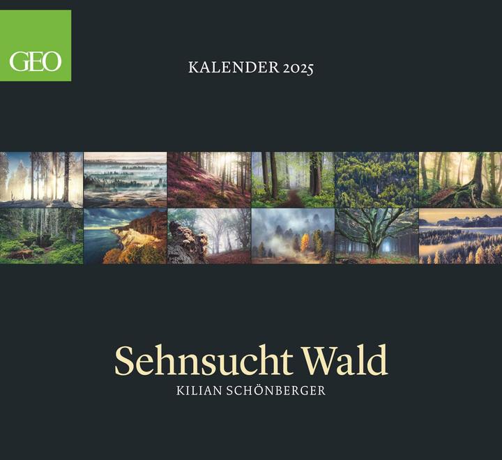 Produktbild Neumann GEO - Sehnsucht Wald Wandkalender 2025 - Eindrucksvoller Waldlandschaften Kalender, Harmonisches (Harter Einband, Deutsch)