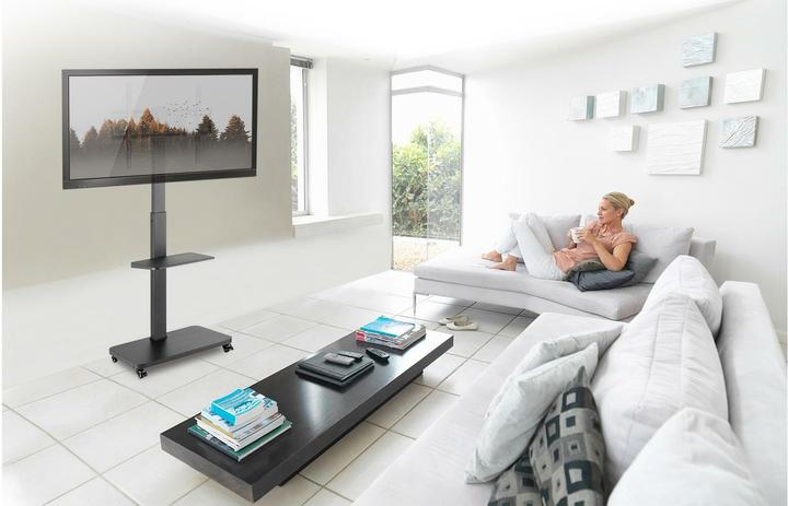 Actual product image myWall HP 108 L (Universal, 75", 40 kg)