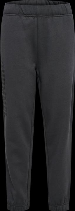Produktbild hummel hmlALVIN PANTS (104)