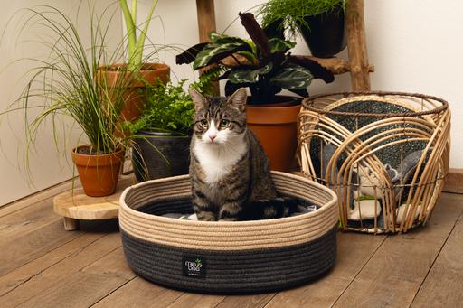 Image du produit Beeztees Xana (Chat)