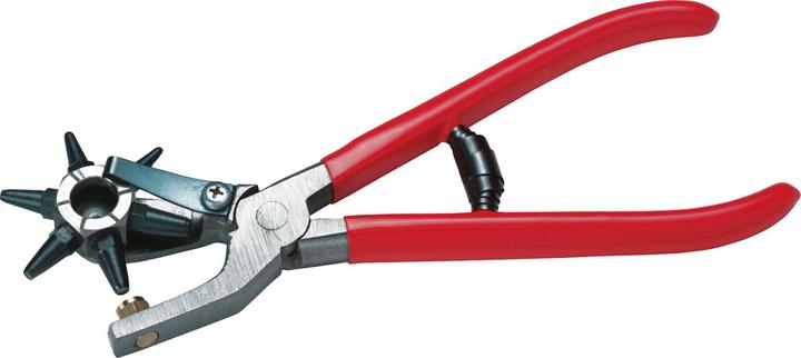 Pinza