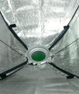 Productafbeelding Falcon Eyes Softbox 75x150 cm + Honingraatjes SBQ-75150HC (Softbox)