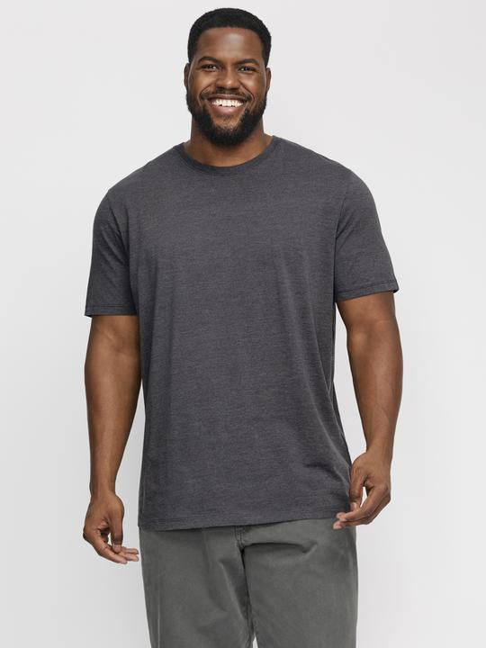 Produktbild Jack & Jones Jjeorganic Mel Tee Ss O-Neck Noos Pls (8XL)