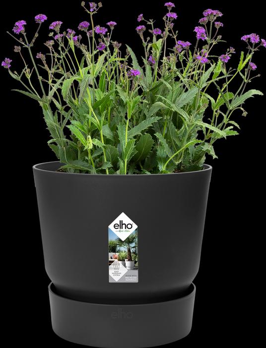 Produktbild Elho Greenville (24.48 cm)