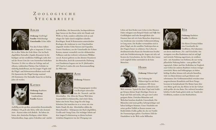 Produktbild Die Seele der Tiere. Gesichter. Gefühle. Geschichten (Deutsch, Sabine Remy-Schwabenthan, 2023)