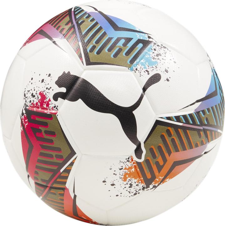 Puma Futsal 1 TB (FIFA Quality Pro) (4)
