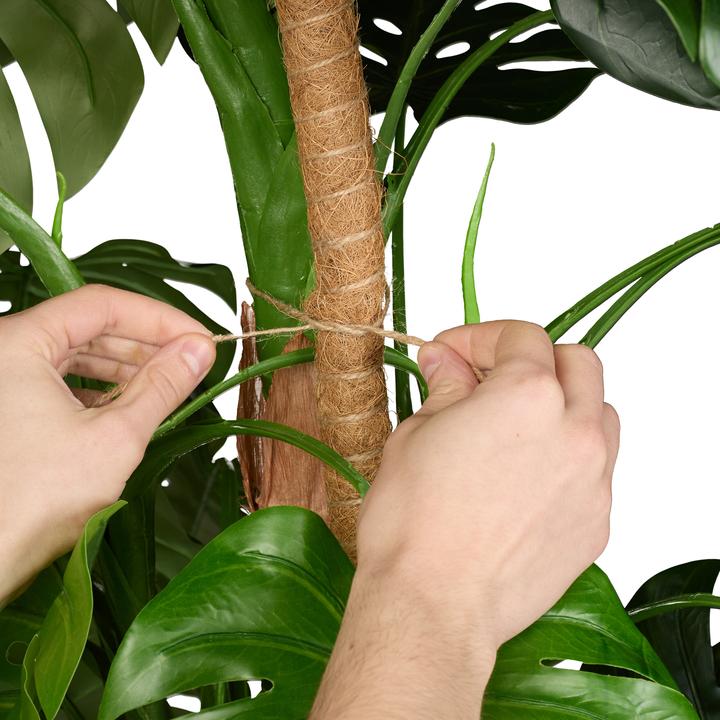 Actual product image Relaxdays 5x coconut sticks (3 cm, 3 cm)