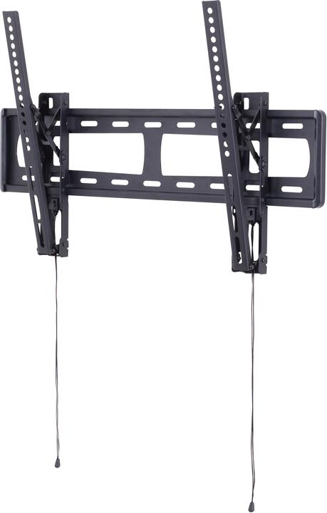 Actual product image Prokord Tilt Medium Wall Mount (Wall, 75", 40 kg)