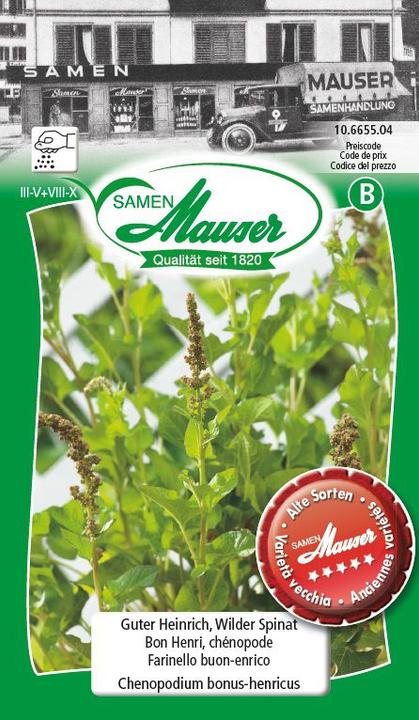 Image du produit Samen Mauser Good Henry, épinards sauvages (Graines de légumes)