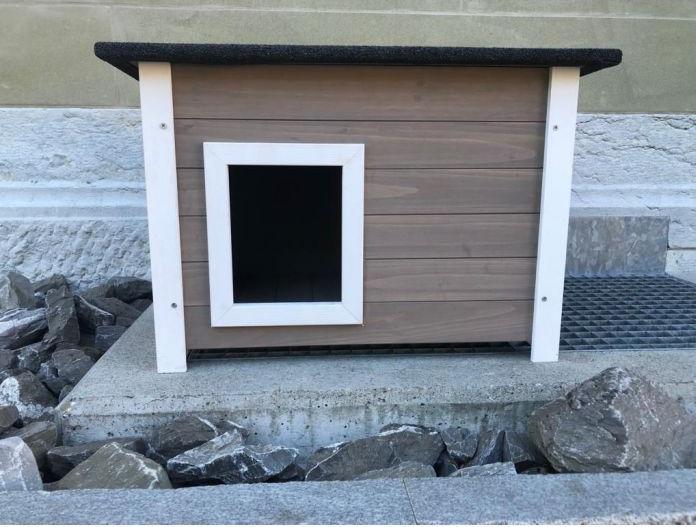 Produktbild Deek Pets Oslo (Katze)