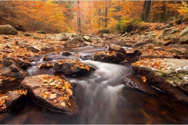 Produktbild Formatt Hitech Firecrest 67 mm ND Filter ND 0.3 (67 mm, ND- / Graufilter)