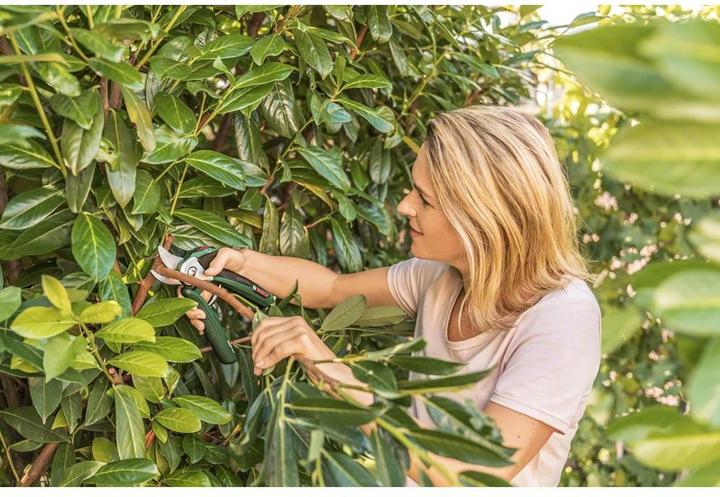 Image du produit Bosch Home & Garden EasyPrune
