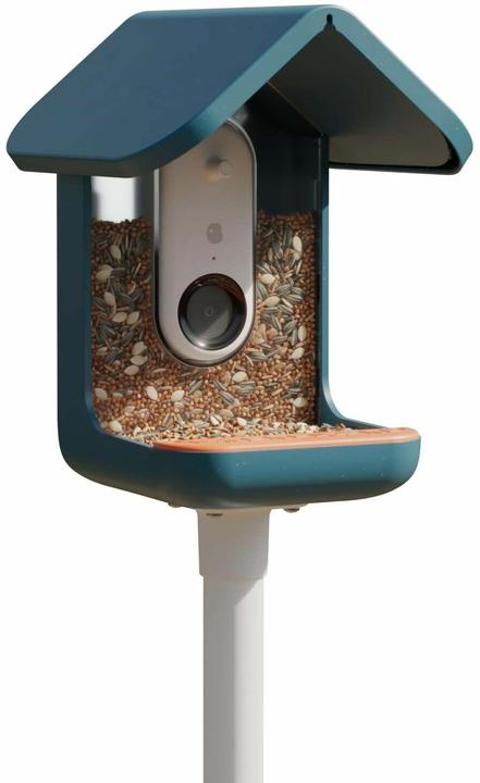 Immagine prodotto Bird Buddy Distributore di cibo