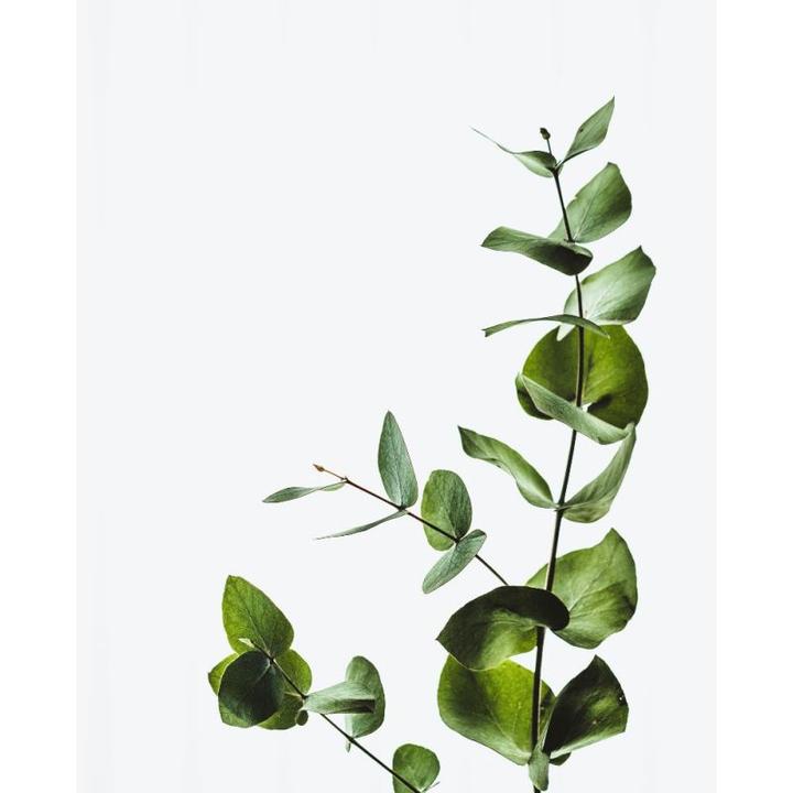 Actual product image Acca Kappa Sfaria Face & Body Cleansing Cream (200 ml)