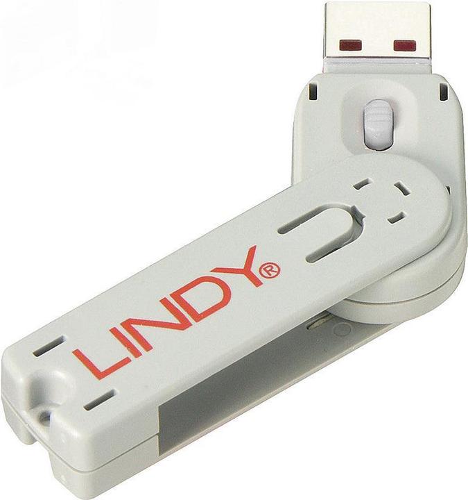 Actual product image Lindy Key for USB port lock