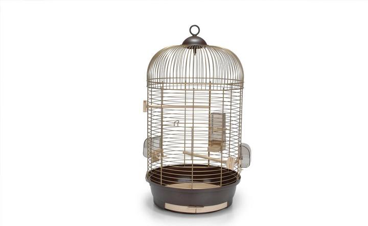 Immagine prodotto Beeztees Uccello a casa Julia 3