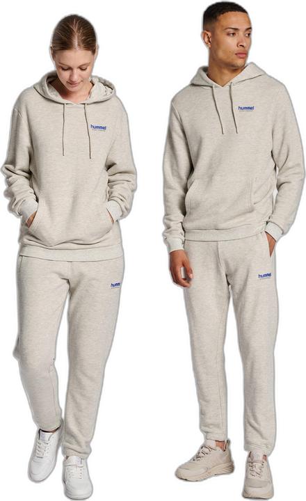 Actual product image hummel Lgc Austin Hoodie (XL)