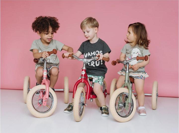 Actual product image Trybike Steel 2 in 1