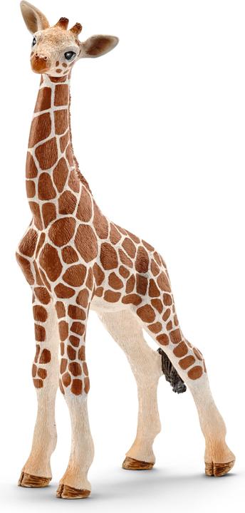 Schleich Giraffenbaby